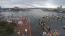 ./images/victoria/wharf/20190705/wharf20190705_091449.jpg