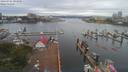 ./images/victoria/wharf/20190705/wharf20190705_094950.jpg