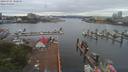 ./images/victoria/wharf/20190705/wharf20190705_100949.jpg