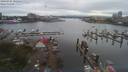 ./images/victoria/wharf/20190705/wharf20190705_105452.jpg