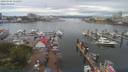 ./images/victoria/wharf/20190705/wharf20190705_122457.jpg