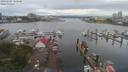 ./images/victoria/wharf/20190705/wharf20190705_124449.jpg