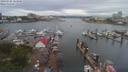 ./images/victoria/wharf/20190705/wharf20190705_125948.jpg