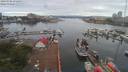 ./images/victoria/wharf/20190706/wharf20190706_075451.jpg