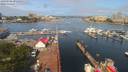 ./images/victoria/wharf/20190706/wharf20190706_095950.jpg