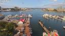 ./images/victoria/wharf/20190706/wharf20190706_111952.jpg