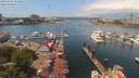 ./images/victoria/wharf/20190706/wharf20190706_124952.jpg