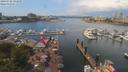 ./images/victoria/wharf/20190706/wharf20190706_131950.jpg