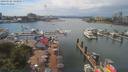 ./images/victoria/wharf/20190706/wharf20190706_143952.jpg