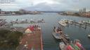 ./images/victoria/wharf/20190707/wharf20190707_052456.jpg