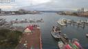 ./images/victoria/wharf/20190707/wharf20190707_052959.jpg