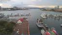 ./images/victoria/wharf/20190707/wharf20190707_053955.jpg