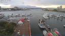 ./images/victoria/wharf/20190707/wharf20190707_055455.jpg