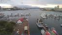 ./images/victoria/wharf/20190707/wharf20190707_055958.jpg
