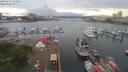./images/victoria/wharf/20190707/wharf20190707_060451.jpg