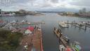 ./images/victoria/wharf/20190707/wharf20190707_105456.jpg