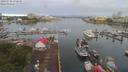 ./images/victoria/wharf/20190708/wharf20190708_072950.jpg