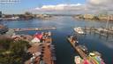 ./images/victoria/wharf/20190708/wharf20190708_110949.jpg