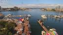 ./images/victoria/wharf/20190708/wharf20190708_121458.jpg