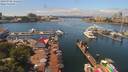 ./images/victoria/wharf/20190708/wharf20190708_125452.jpg