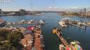./images/victoria/wharf/20190708/wharf20190708_132952.jpg