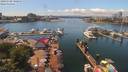 ./images/victoria/wharf/20190708/wharf20190708_140956.jpg