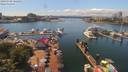 ./images/victoria/wharf/20190708/wharf20190708_142456.jpg