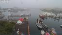 ./images/victoria/wharf/20190710/wharf20190710_073953.jpg