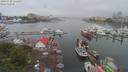 ./images/victoria/wharf/20190710/wharf20190710_112453.jpg