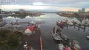 ./images/victoria/wharf/20190711/wharf20190711_053950.jpg