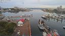 ./images/victoria/wharf/20190712/wharf20190712_071954.jpg