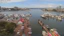 ./images/victoria/wharf/20190712/wharf20190712_124457.jpg