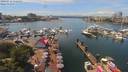 ./images/victoria/wharf/20190712/wharf20190712_132450.jpg