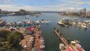 ./images/victoria/wharf/20190712/wharf20190712_135953.jpg