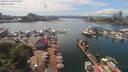./images/victoria/wharf/20190712/wharf20190712_144953.jpg