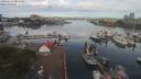 ./images/victoria/wharf/20190713/wharf20190713_081449.jpg