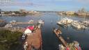 ./images/victoria/wharf/20190713/wharf20190713_091952.jpg