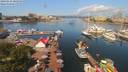 ./images/victoria/wharf/20190714/wharf20190714_104958.jpg