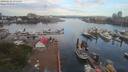 ./images/victoria/wharf/20190715/wharf20190715_075455.jpg