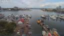 ./images/victoria/wharf/20190715/wharf20190715_141954.jpg