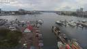 ./images/victoria/wharf/20190715/wharf20190715_152454.jpg