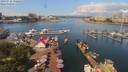./images/victoria/wharf/20190716/wharf20190716_112452.jpg
