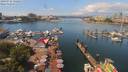 ./images/victoria/wharf/20190716/wharf20190716_122951.jpg