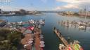 ./images/victoria/wharf/20190716/wharf20190716_125959.jpg