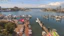 ./images/victoria/wharf/20190716/wharf20190716_132958.jpg