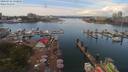 ./images/victoria/wharf/20190716/wharf20190716_133954.jpg