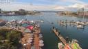 ./images/victoria/wharf/20190716/wharf20190716_134457.jpg