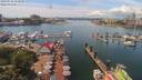 ./images/victoria/wharf/20190716/wharf20190716_134950.jpg