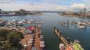 ./images/victoria/wharf/20190716/wharf20190716_135452.jpg