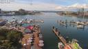./images/victoria/wharf/20190716/wharf20190716_135955.jpg